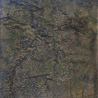 10. Untitled, 12" X 9", oil on canvas, 2014
